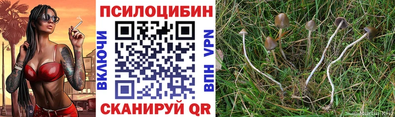 Галлюциногенные грибы Magic Shrooms  Грязовец 